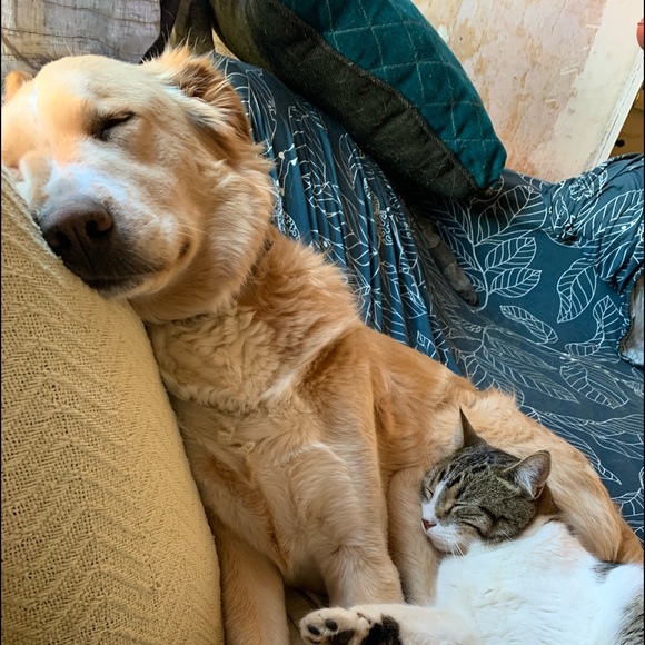 Meet your Posher, Andrew - Picture 1 of 1